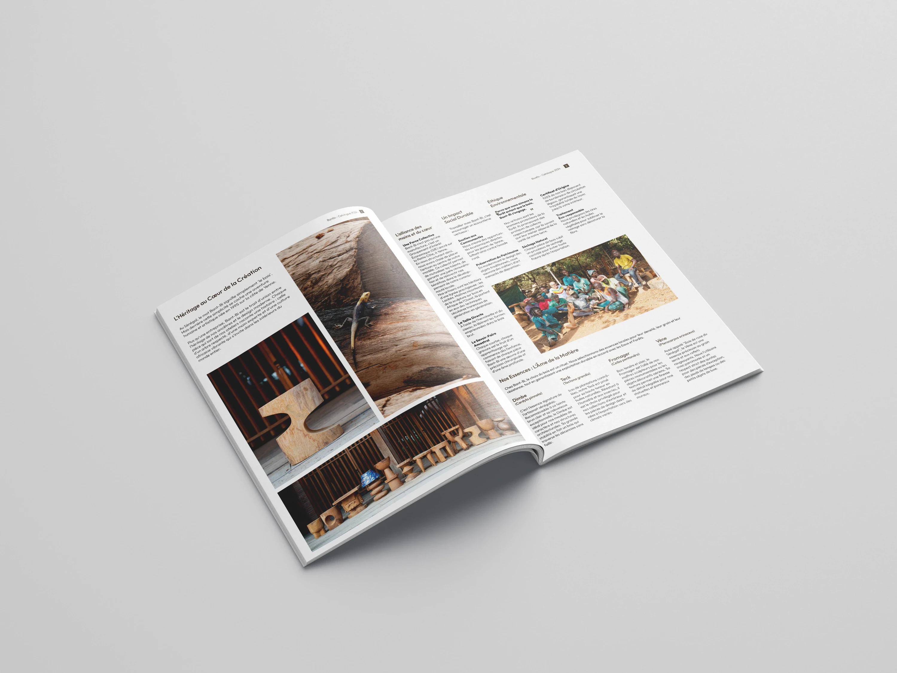 Bantbi - Catalogue produit, vue d'ensemble